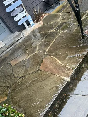 IMG_4747 - copy (1).JPEG